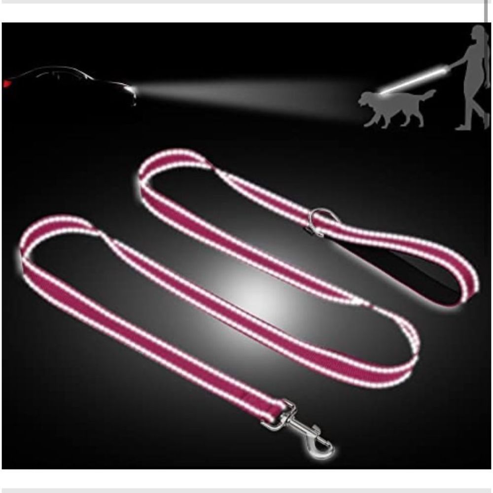 Brandnew Double-Sided Reflective Heavy Duty Dog Leash 4ft - Picture 2 of 8